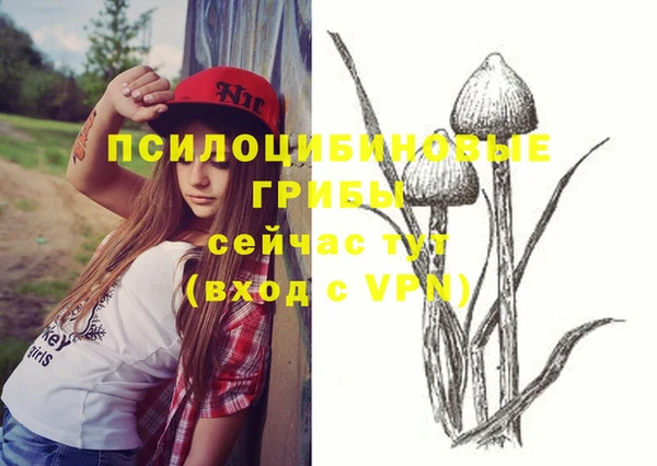 mdma Гусев