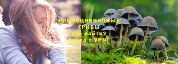 ALPHA PVP Гусь-Хрустальный