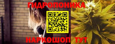 каннабис Гусев