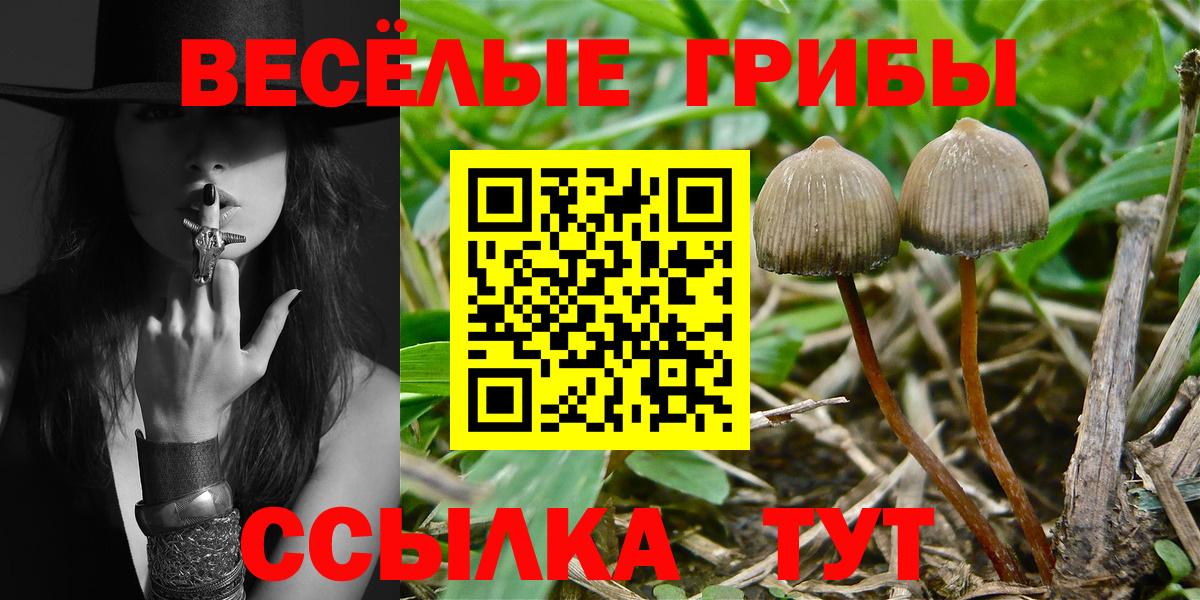 Псилоцибиновые грибы Magic Shrooms Минеральные Воды