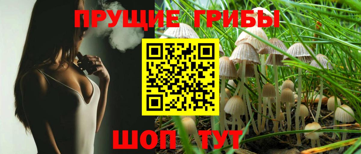 Псилоцибиновые грибы GOLDEN TEACHER Минеральные Воды