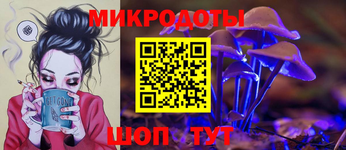 купить наркоту  Минеральные Воды  Галлюциногенные грибы Cubensis 