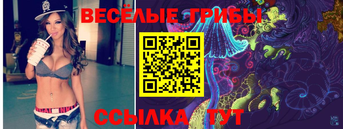 Минеральные Воды  Галлюциногенные грибы Psilocybe  Вход с VPN 